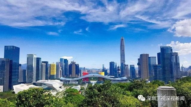 全國首例!深圳市財政局作出政府采購行政裁決決定書