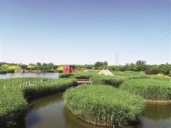 臨港濕地公園：“環?！薄邦佒怠奔嫒莶⑿?/></a>　　臨港生態濕地公園　　由天津港保稅區管委會作為執行機構的亞洲開發銀行貸款項目天津海河河口地區污染控制與生態恢復項目近期完成貸款賬戶清戶，其中，濕地生態恢復子項目建設了63公頃臨港生態濕地公園(一期)，具備污水處理、生態恢復和景觀...<a href=