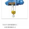 東莞黃江防爆電動(dòng)葫蘆銷售安裝廠家維修